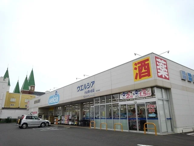 ウエルシア小山雨ヶ谷店まで1000m