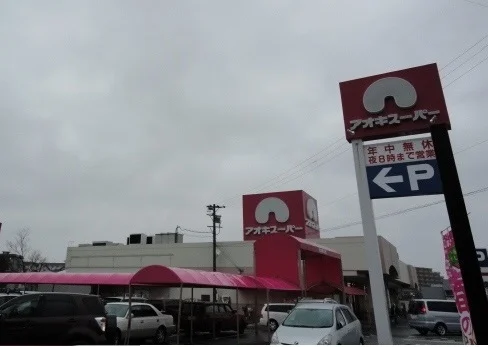 アオキスーパー知立店まで1100m