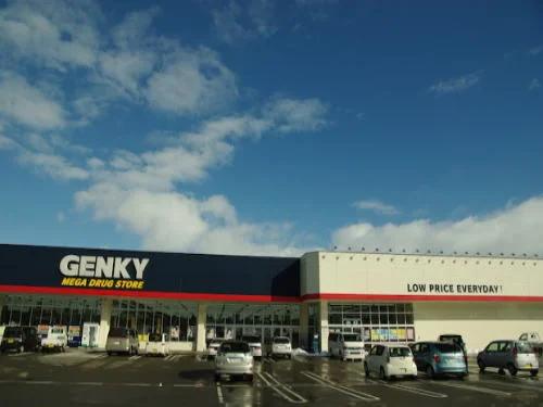 ゲンキー 大野店まで2500m