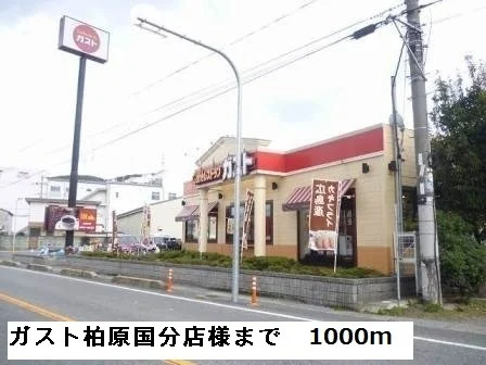ガスト柏原国分店様まで1000m