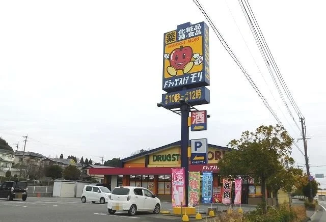 ドラッグストアモリまで800m