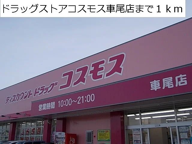 コスモス車尾店まで1000m