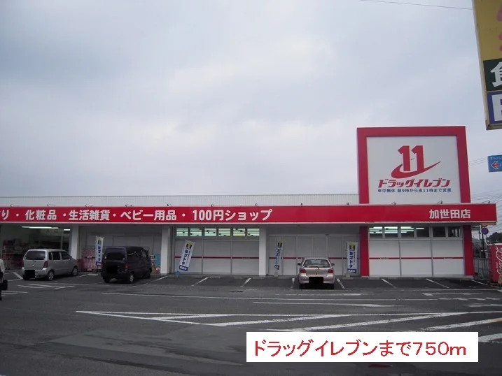 ドラッグイレブンまで750m