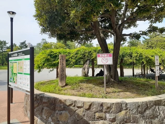 しょうぶ沼公園まで290m