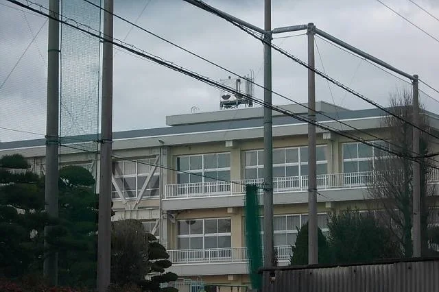 今治市立立花小学校まで1100m