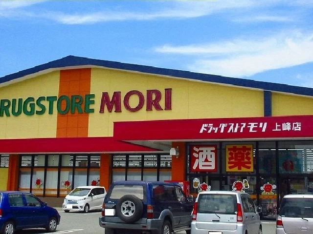 モリ上峰店まで1050m