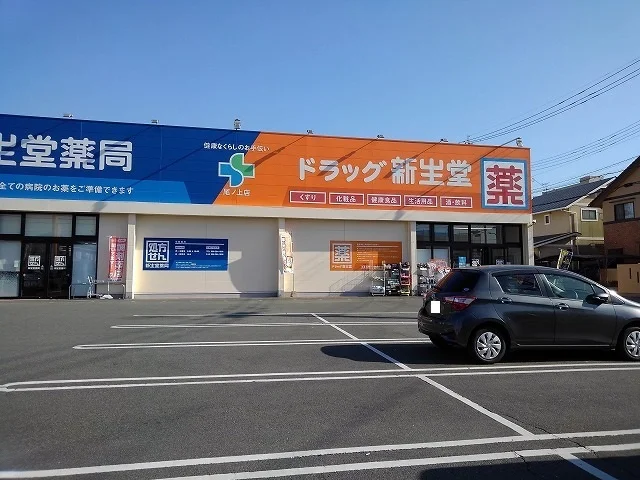 ドラッグ新生堂尾ノ上店まで300m
