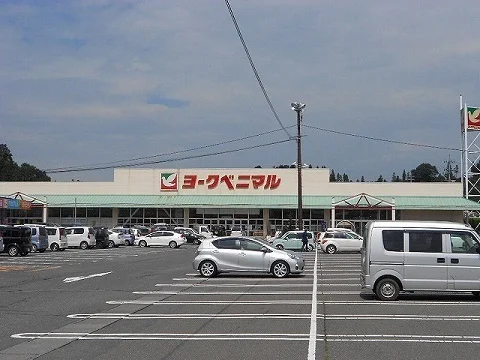 ヨークベニマル小野プラザ店まで600m