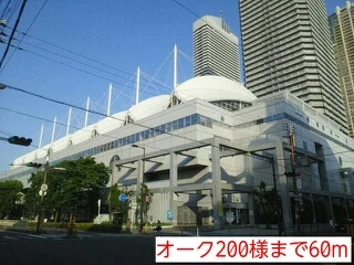 オーク200様まで60m