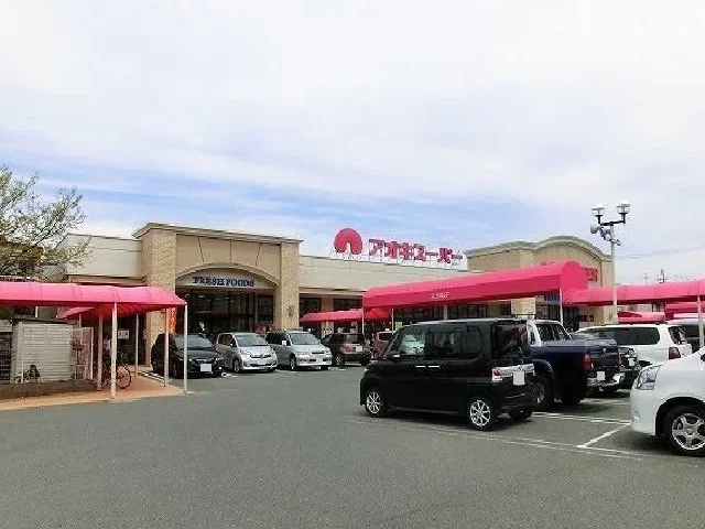 アオキスーパーまで740m