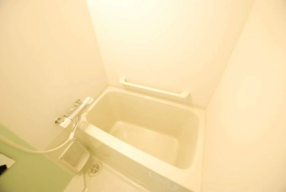 同タイプ写真の為、現況優先。