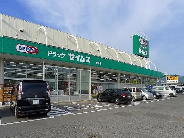 ドラッグセイムスまで700m