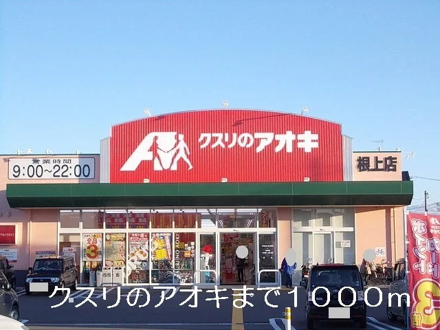 クスリのアオキまで1000m