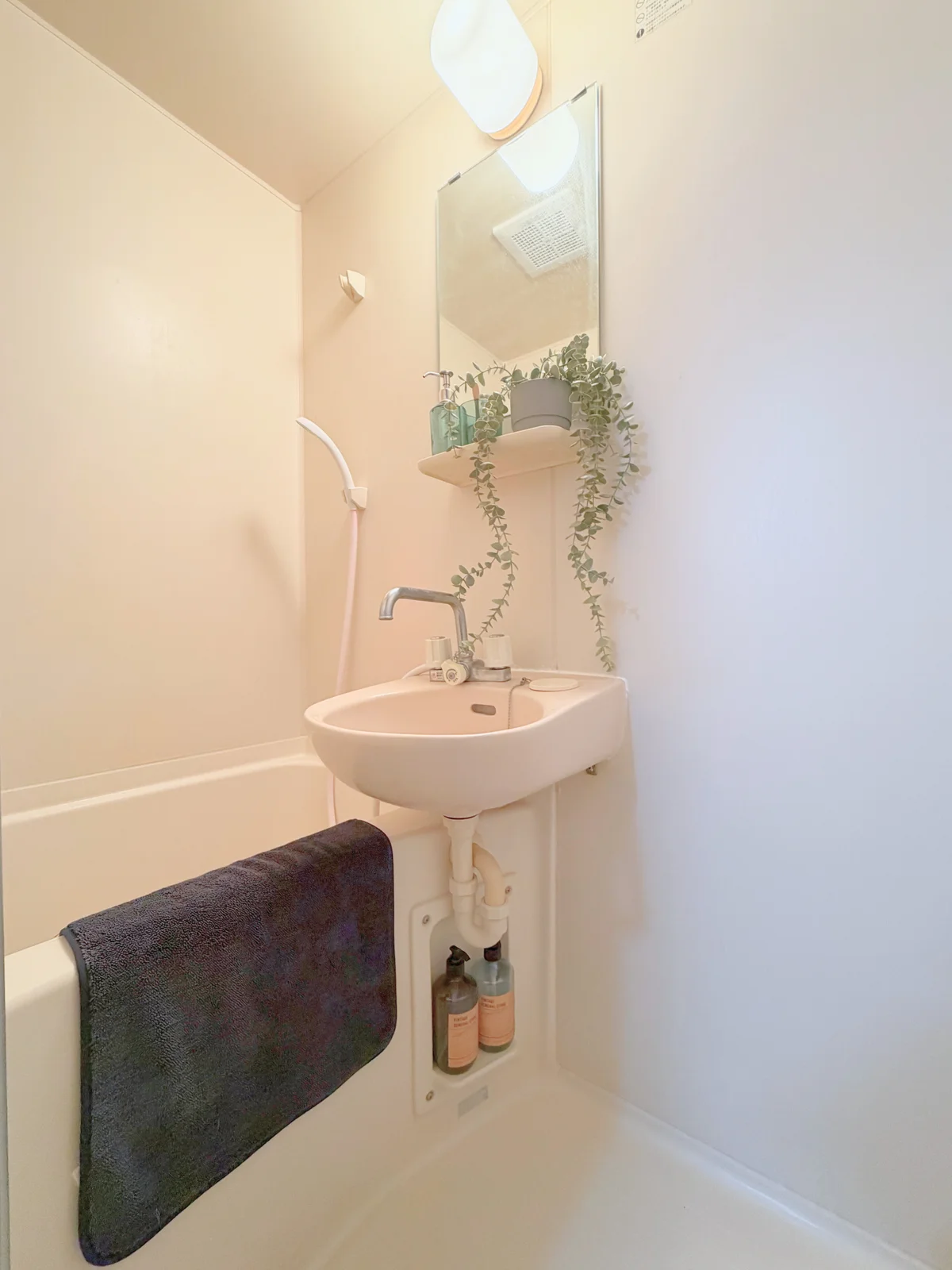 洗面付きのお風呂