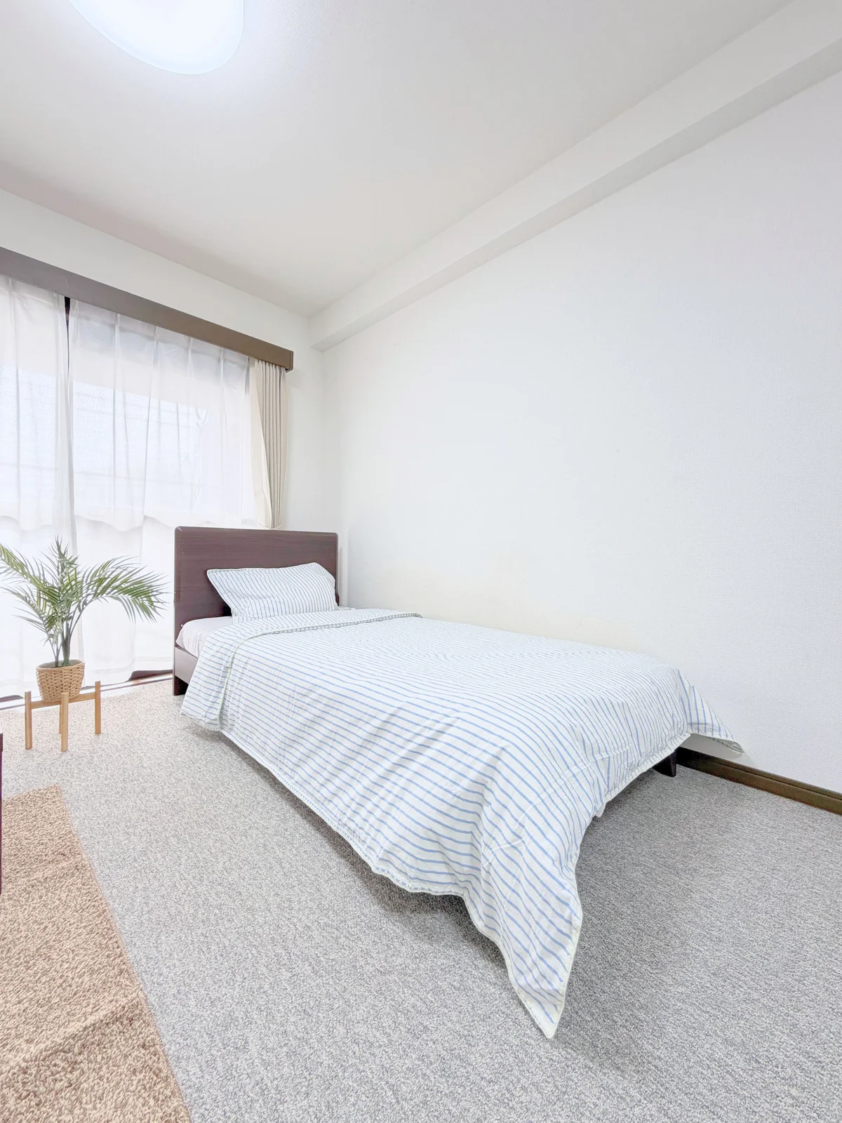 シングルベット