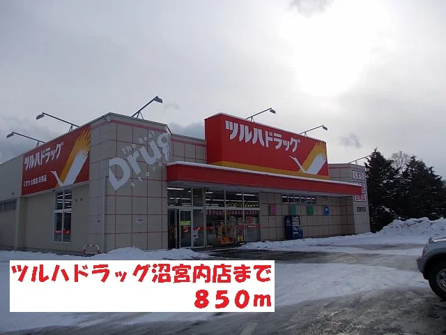 ツルハドラッグ沼宮内店まで850m