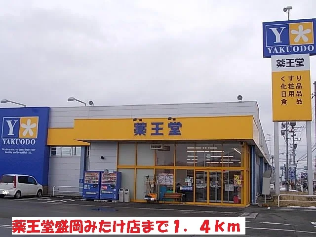 薬王堂盛岡みたけ店まで1400m