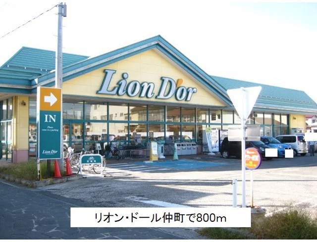 リオン・ドール仲町店まで800m