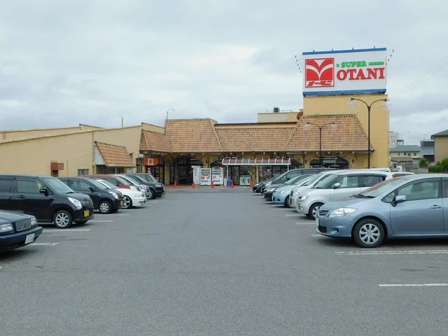 オータニ野沢店まで1100m