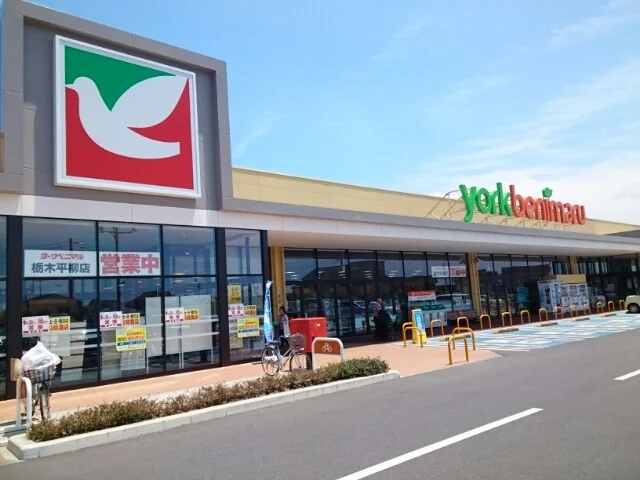 ヨークベニマル栃木平柳店まで350m