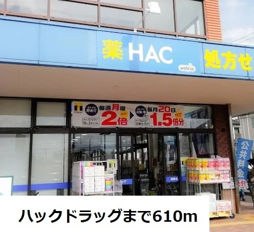 ハックドラッグ海老名上今泉店まで610m