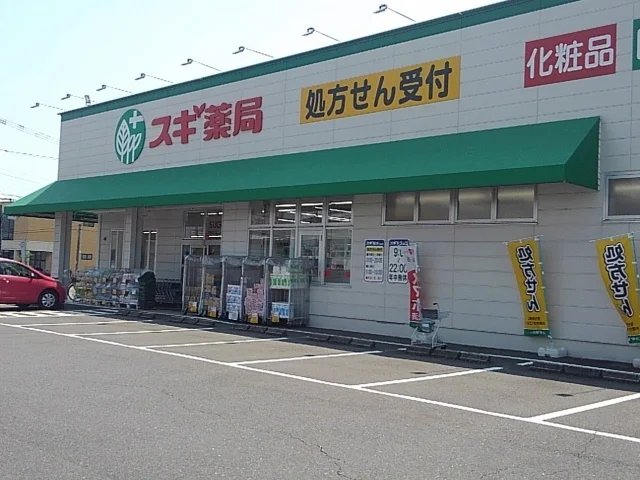 スギ薬局舟橋店まで600m