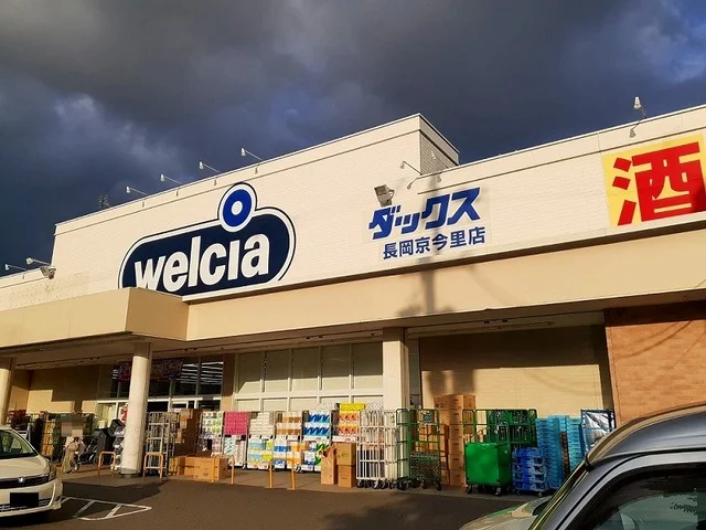 ダックス 長岡京今里店まで400m