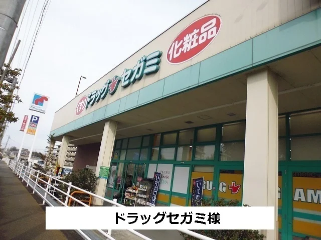 ドラッグセガミまで550m