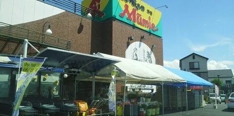 ムーミーさんまで220m