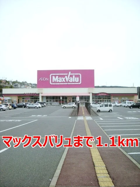 マックスバリュまで1100m
