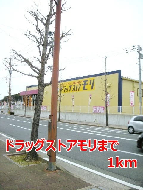 ドラッグストアモリまで1000m