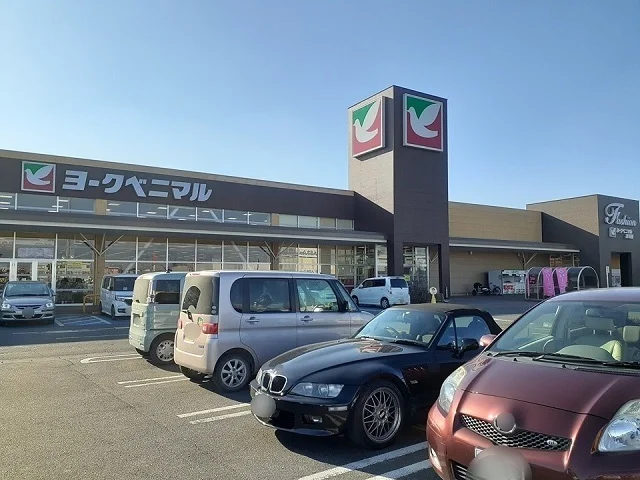 ヨークベニマル坂東店まで1690m
