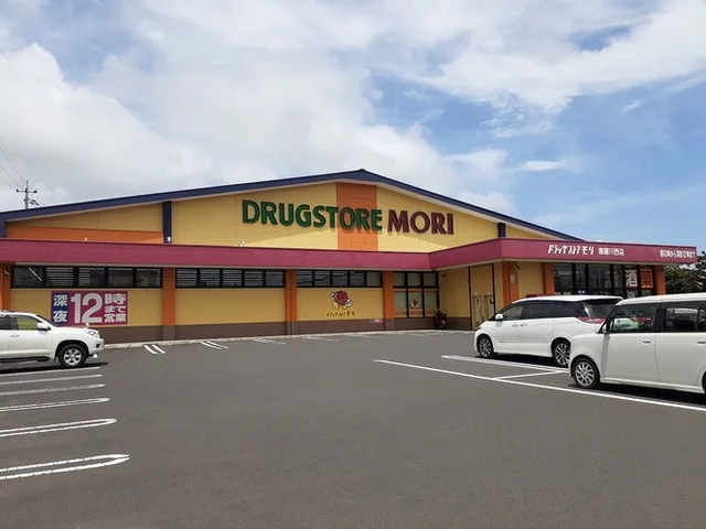 ドラッグストアモリ鹿屋川西店まで600m
