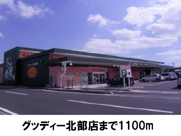 グッディー北部店まで1100m