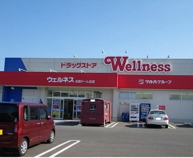ウェルネス出雲ドーム北店まで450m