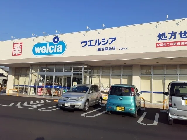 ウェルシア鹿沼店まで400m