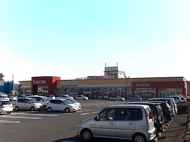 カスミみどりの駅前店まで1700m