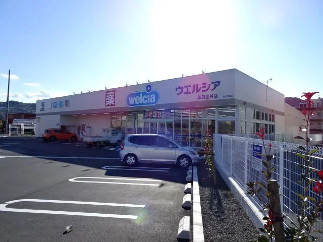 ウエルシア　金谷店まで700m