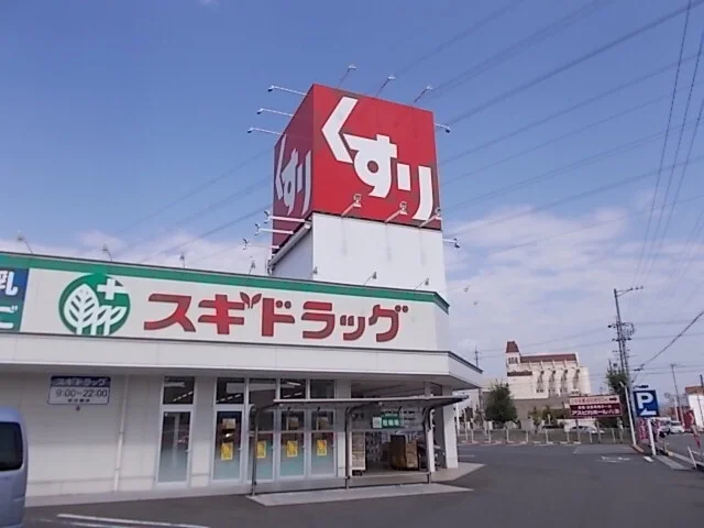 スギドラッグ岐阜六条店まで1100m