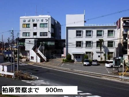 柏原警察署まで900m