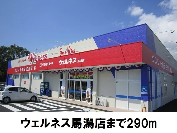 ウェルネス馬潟店まで290m