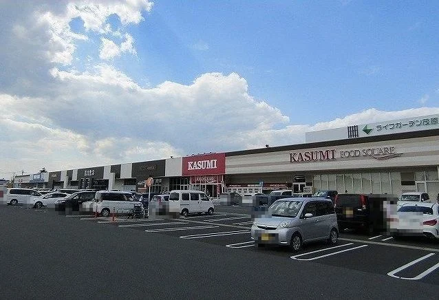 ライフガーデン茂原店まで3200m