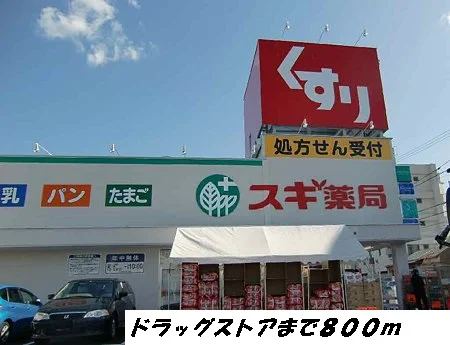 スギ薬局まで800m