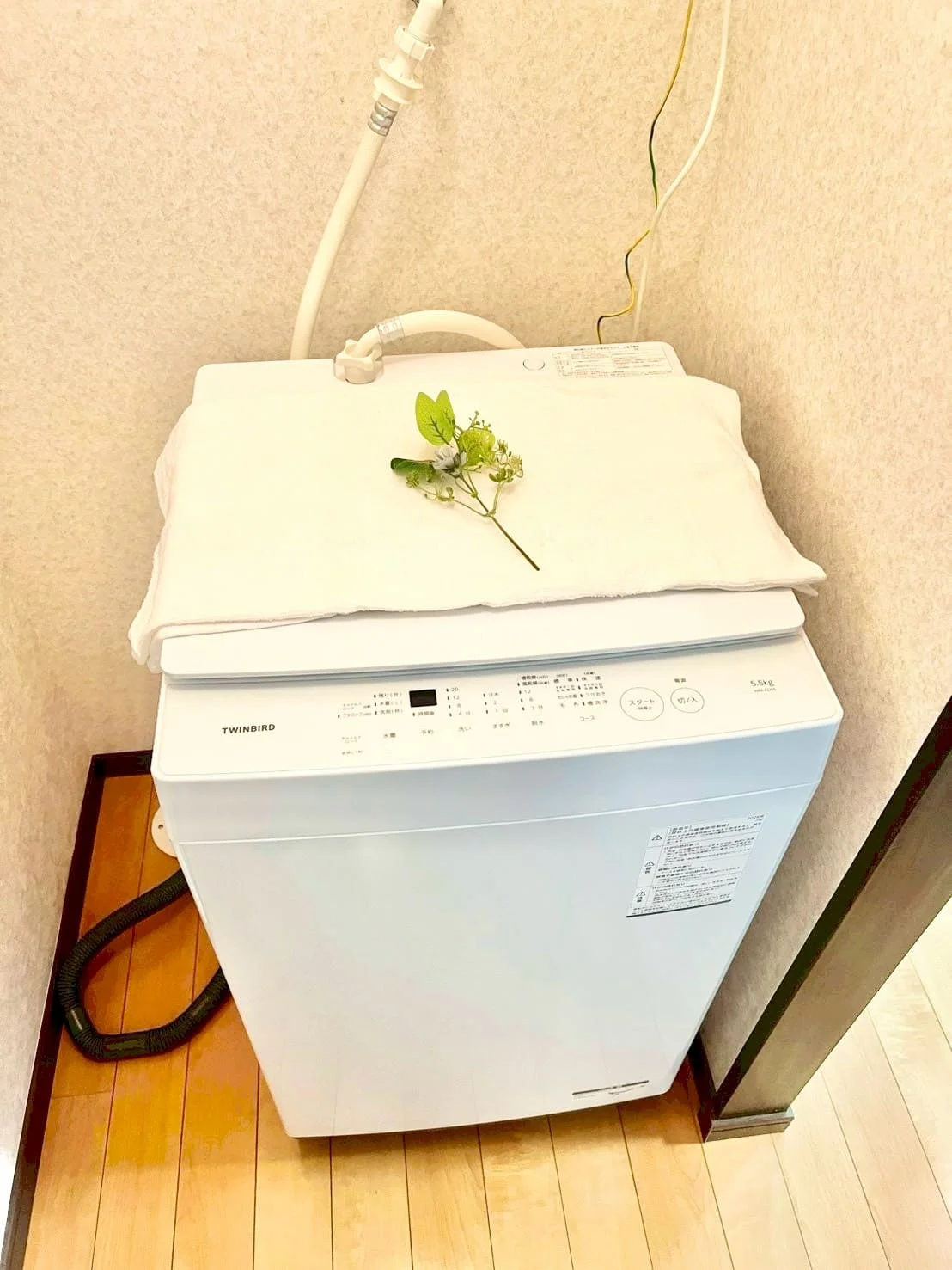 ※撮影用の観察植物・食器調理器具・雑貨類等はございません。※写真は現況優先