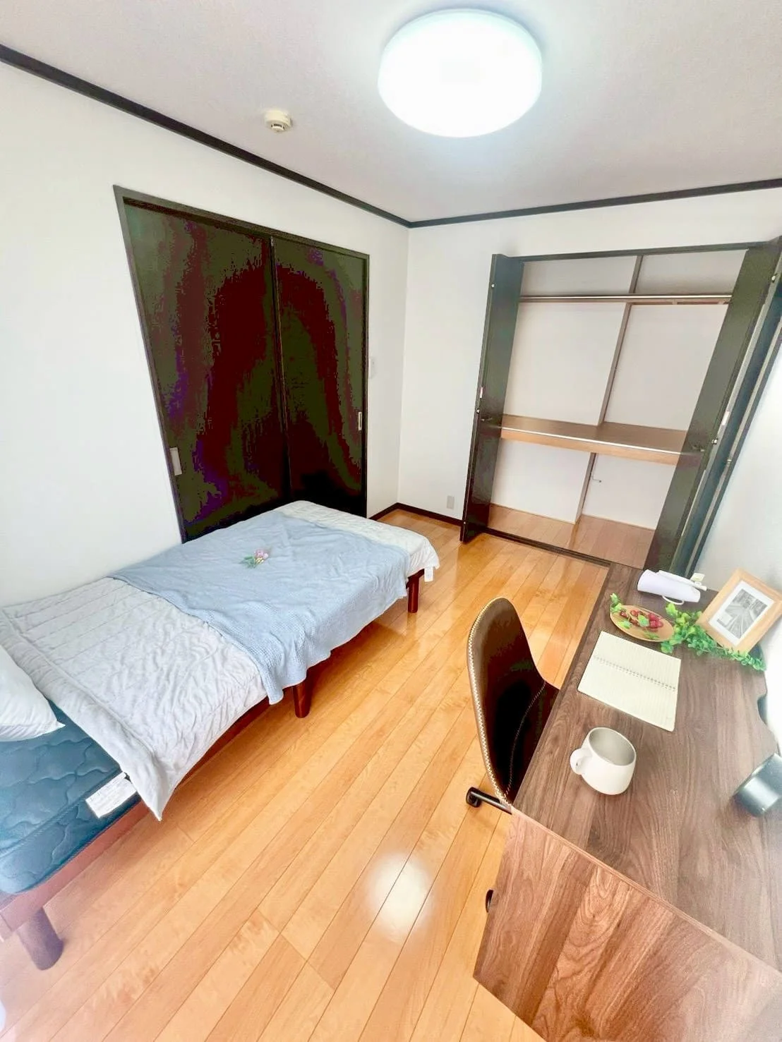 ※撮影用の観察植物・食器調理器具・雑貨類等はございません。※写真は現況優先