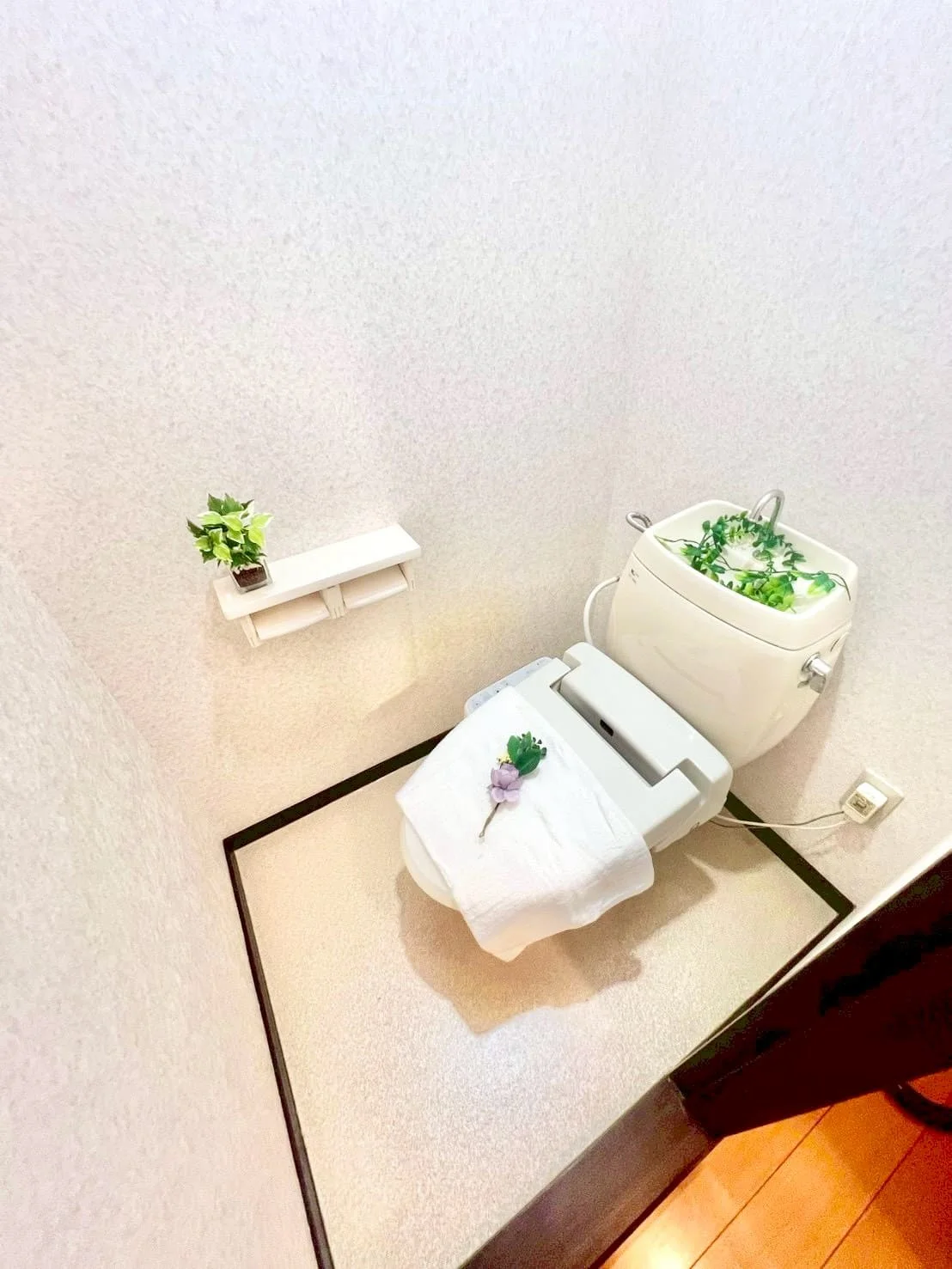 ※撮影用の観察植物・食器調理器具・雑貨類等はございません。※写真は現況優先