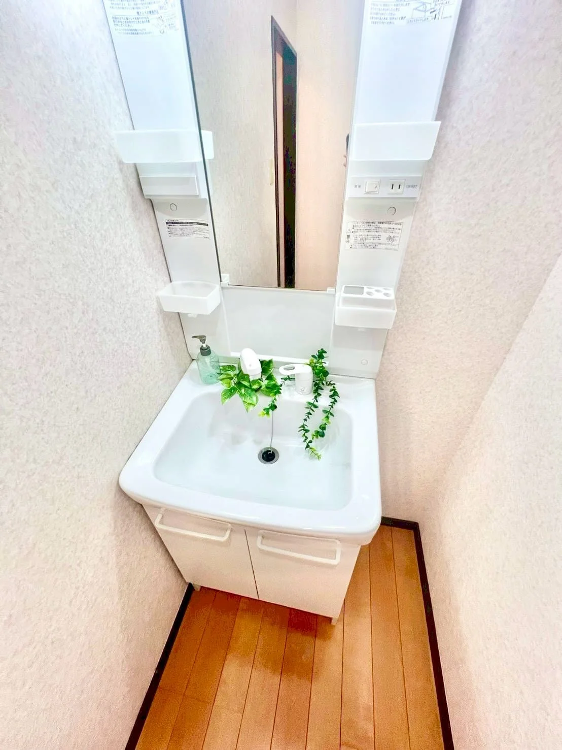 ※撮影用の観察植物・食器調理器具・雑貨類等はございません。※写真は現況優先