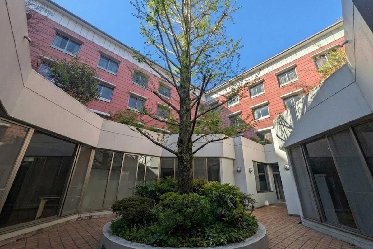 中庭ではシンボルツリーがお出迎え