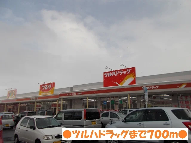 ツルハドラッグ安原店まで700m