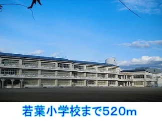 若葉小学校まで520m